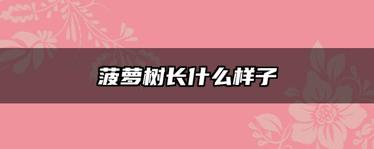 菠萝树长什么样子