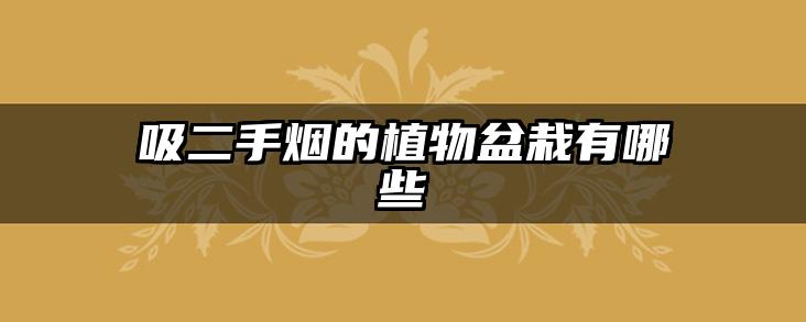 吸二手烟的植物盆栽有哪些