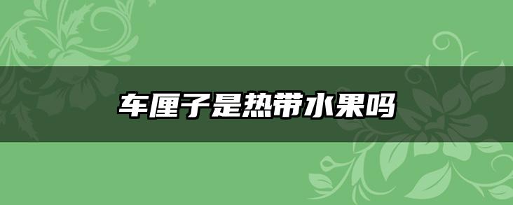 车厘子是热带水果吗