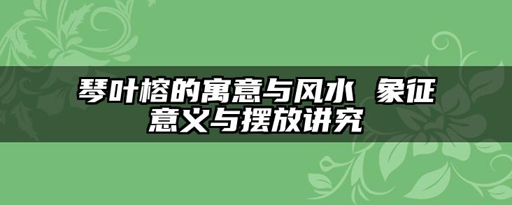 琴叶榕的寓意与风水 象征意义与摆放讲究