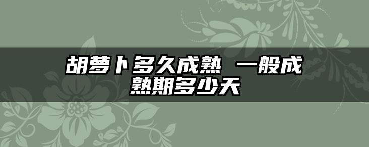 胡萝卜多久成熟 一般成熟期多少天