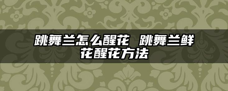 跳舞兰怎么醒花 跳舞兰鲜花醒花方法