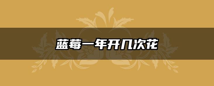 蓝莓一年开几次花