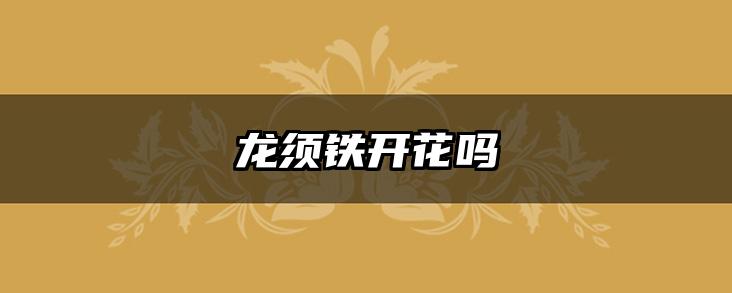 龙须铁开花吗