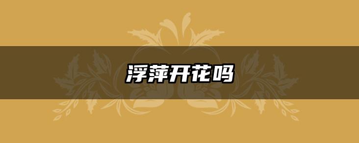 浮萍开花吗