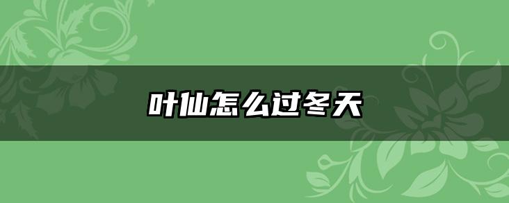 叶仙怎么过冬天