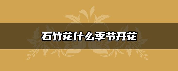 石竹花什么季节开花