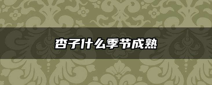 杏子什么季节成熟