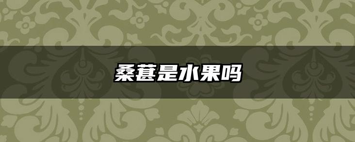 桑葚是水果吗
