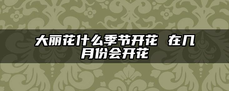 大丽花什么季节开花 在几月份会开花