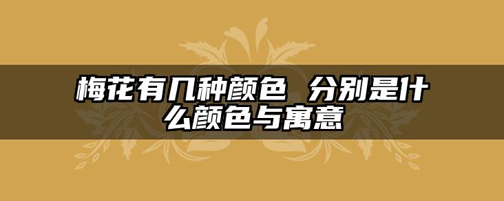 梅花有几种颜色 分别是什么颜色与寓意