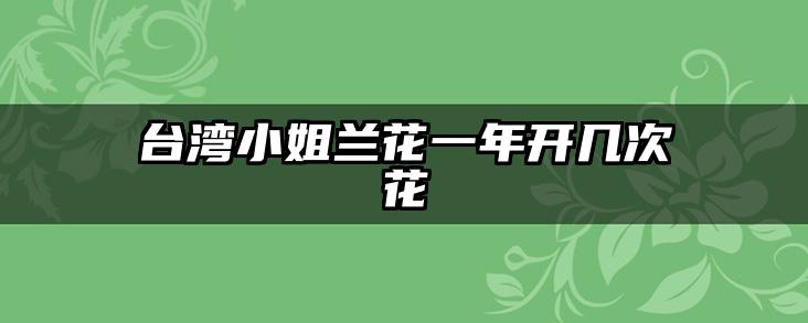 台湾小姐兰花一年开几次花