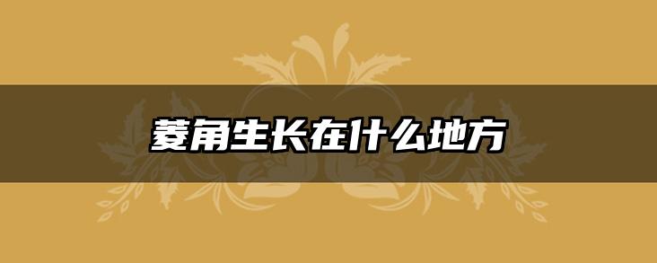 菱角生长在什么地方