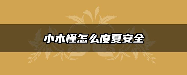 小木槿怎么度夏安全