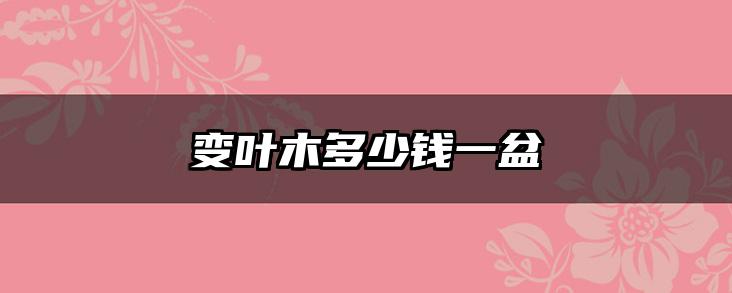 变叶木多少钱一盆
