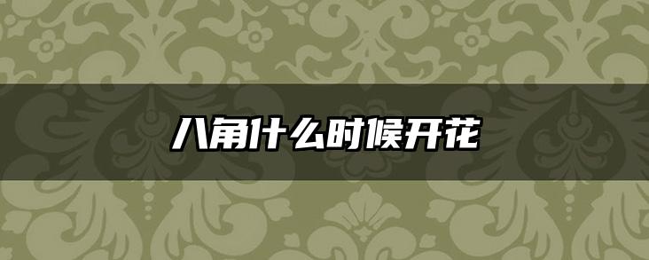 八角什么时候开花