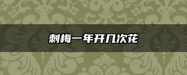 刺梅一年开几次花
