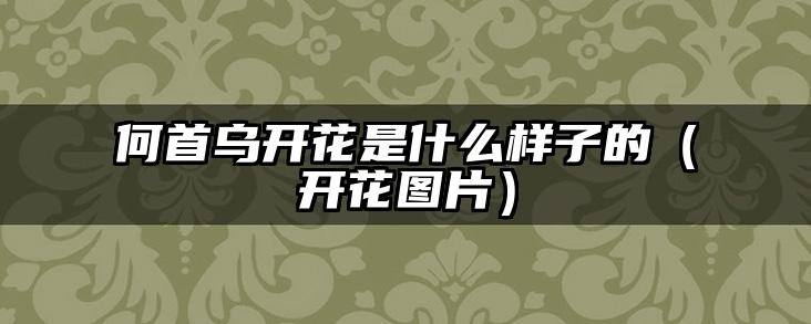 何首乌开花是什么样子的（开花图片）