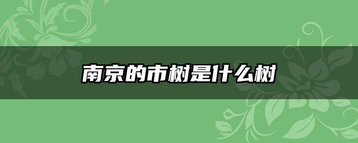 南京的市树是什么树
