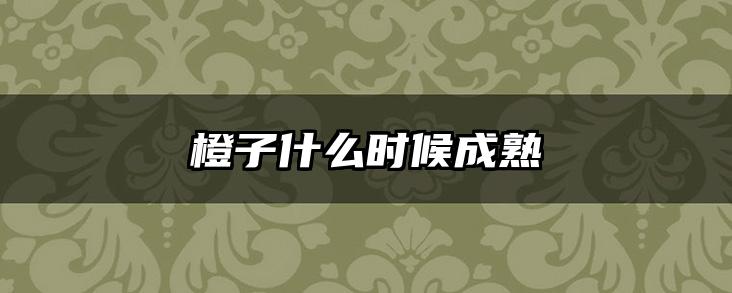 橙子什么时候成熟