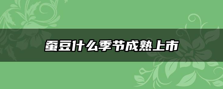 蚕豆什么季节成熟上市