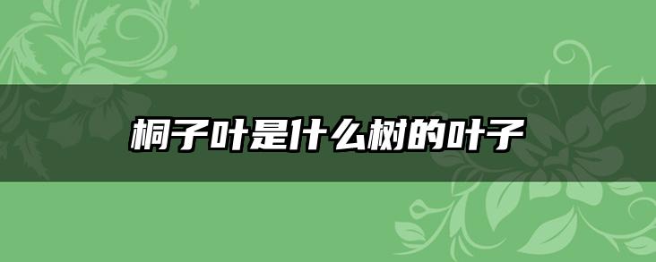 桐子叶是什么树的叶子