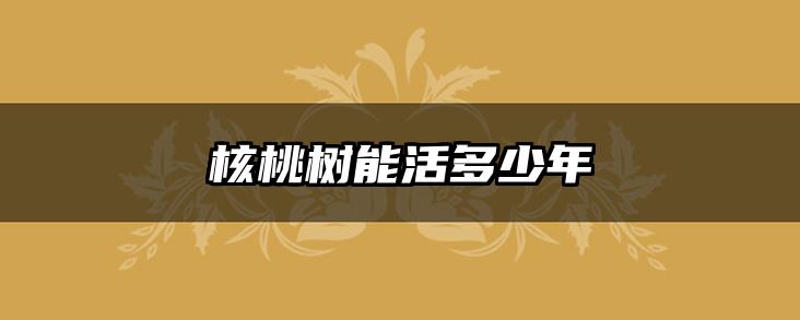 核桃树能活多少年
