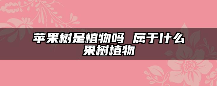苹果树是植物吗 属于什么果树植物