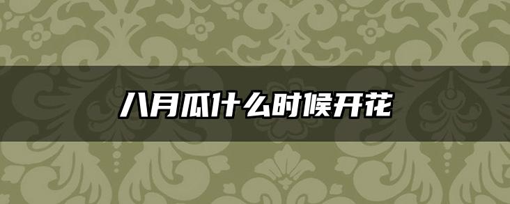 八月瓜什么时候开花