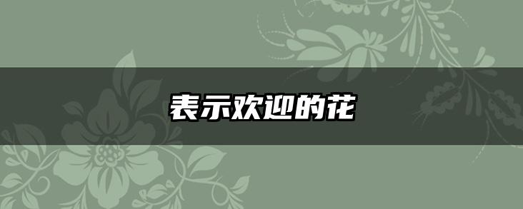 表示欢迎的花