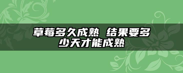 草莓多久成熟 结果要多少天才能成熟