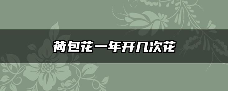 荷包花一年开几次花