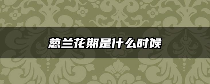 葱兰花期是什么时候
