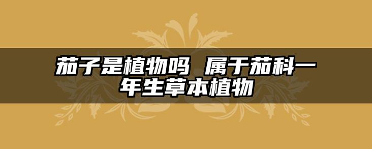 茄子是植物吗 属于茄科一年生草本植物