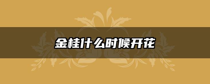 金桂什么时候开花