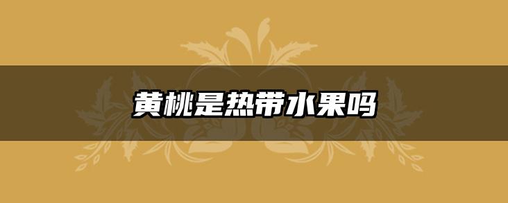 黄桃是热带水果吗