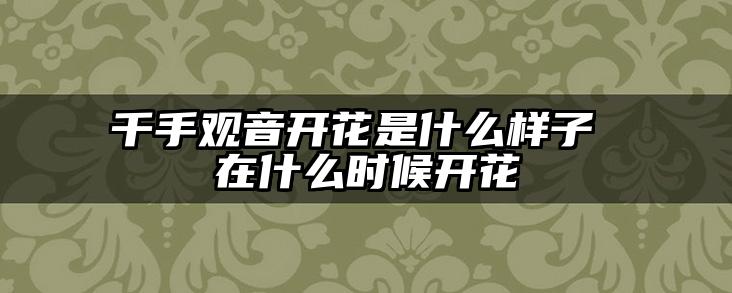 千手观音开花是什么样子 在什么时候开花