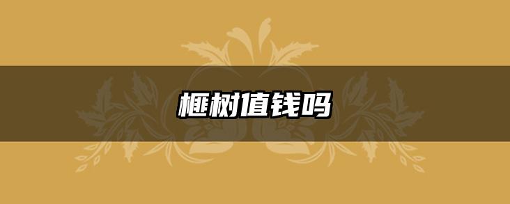 榧树值钱吗