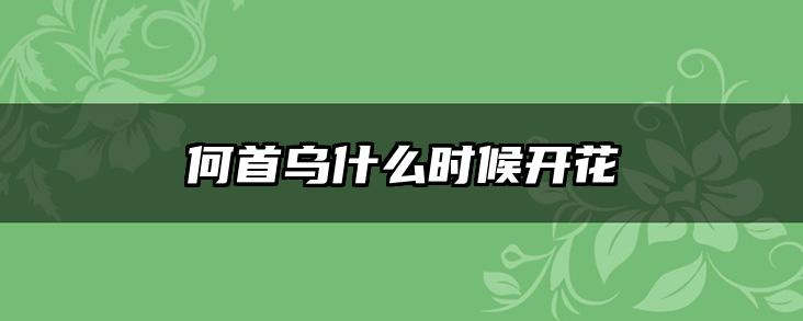 何首乌什么时候开花