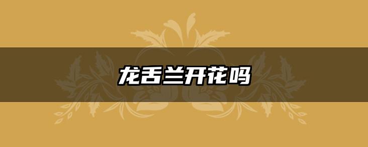 龙舌兰开花吗