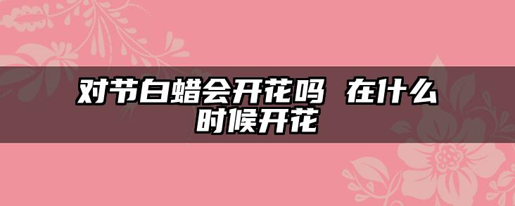 对节白蜡会开花吗 在什么时候开花
