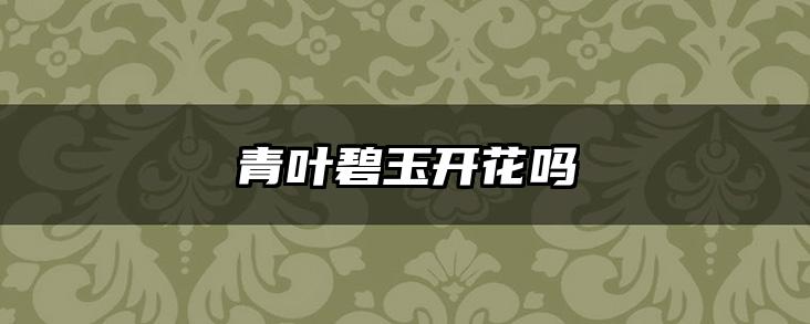 青叶碧玉开花吗