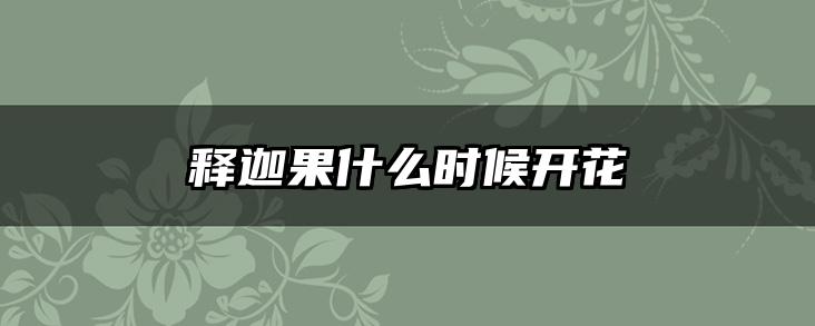 释迦果什么时候开花