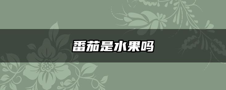 番茄是水果吗