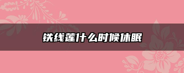铁线莲什么时候休眠