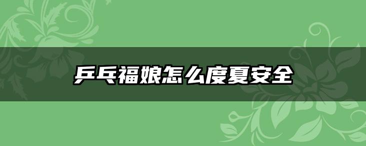 乒乓福娘怎么度夏安全