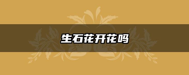 生石花开花吗