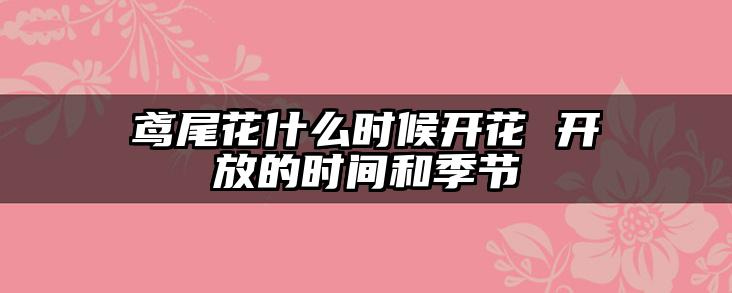 鸢尾花什么时候开花 开放的时间和季节