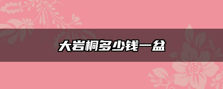 大岩桐多少钱一盆