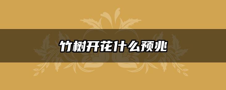 竹树开花什么预兆